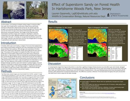 Effect of Superstorm Sandy on Forest Health In Hartshorne Woods Park, New Jersey Lauren Gazerwitz, Wildlife & Conservation Biology,