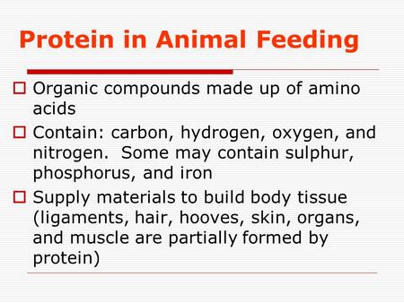 Protein in Animal Feeding  Organic compounds made up of amino acids  Contain: carbon, hydrogen, oxygen, and nitrogen. Some may contain sulphur, phosphorus,