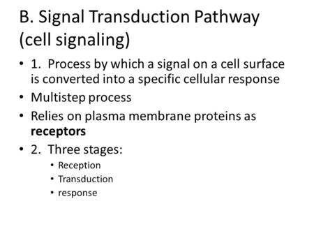 B. Signal Transduction Pathway (cell signaling)