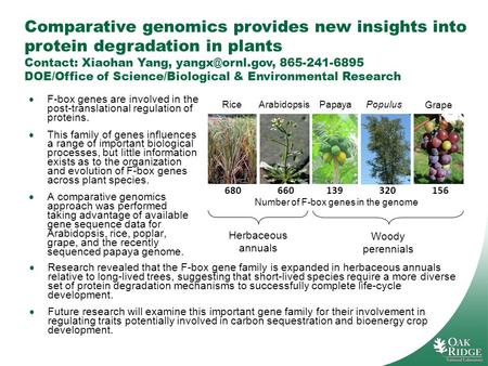 Comparative genomics provides new insights into protein degradation in plants Contact: Xiaohan Yang, 865-241-6895 DOE/Office of Science/Biological.