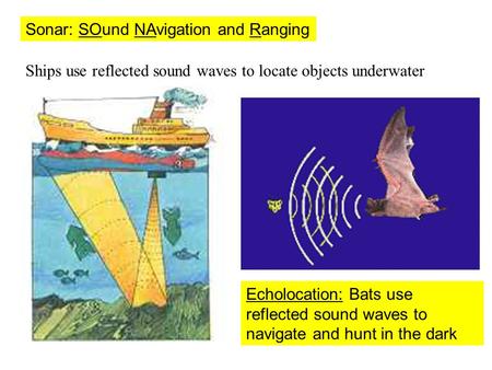 Sonar: SOund NAvigation and Ranging Ships use reflected sound waves to locate objects underwater Echolocation: Bats use reflected sound waves to navigate.