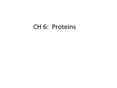 CH 6: Proteins.
