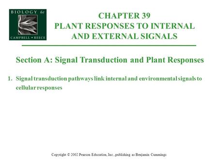 CHAPTER 39 PLANT RESPONSES TO INTERNAL AND EXTERNAL SIGNALS Copyright © 2002 Pearson Education, Inc., publishing as Benjamin Cummings Section A: Signal.
