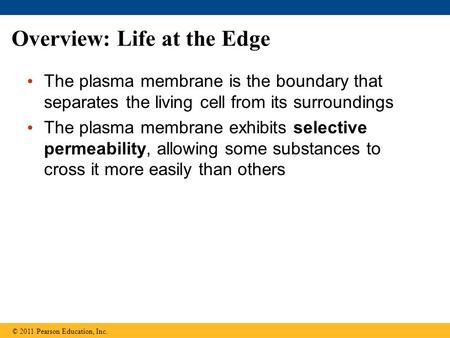 Overview: Life at the Edge The plasma membrane is the boundary that separates the living cell from its surroundings The plasma membrane exhibits selective.