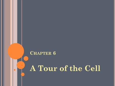 C HAPTER 6 A Tour of the Cell. Y OU M UST K NOW Three differences between prokaryotic and eukaryotic cells. The structure and function of organelles common.