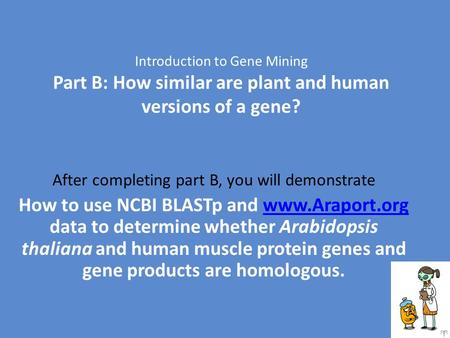 Introduction to Gene Mining Part B: How similar are plant and human versions of a gene? After completing part B, you will demonstrate How to use NCBI BLASTp.