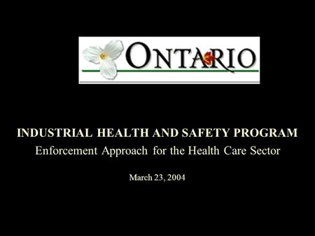 INDUSTRIAL HEALTH AND SAFETY PROGRAM Enforcement Approach for the Health Care Sector March 23, 2004.