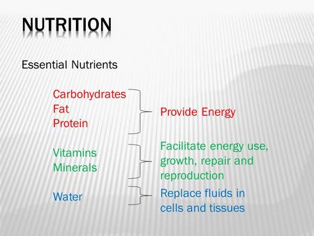 NUTRITION Essential Nutrients Carbohydrates Fat Protein Vitamins