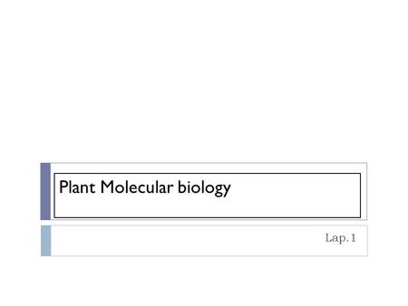 Plant Molecular biology Lap.1. Plant Molecular biology The field studies how the genes are transferred from generation to generation. Molecular genetics.