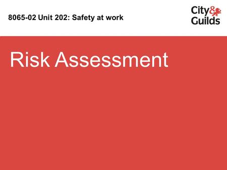 Risk Assessment Unit 202: Safety at work