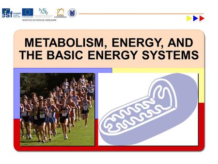 METABOLISM, ENERGY, AND THE BASIC ENERGY SYSTEMS