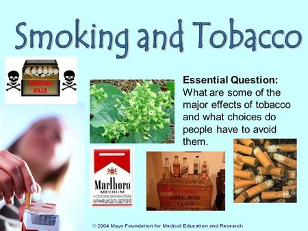 Essential Question: What are some of the major effects of tobacco and what choices do people have to avoid them.