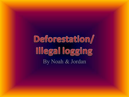 By Noah & Jordan. Killing for Trees ? This source shows the following about illegal logging. Shot in the temple by the “ gunmen “ if caught letting the.