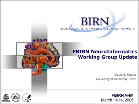 FBIRN AHM March 13-14, 2006 David B. Keator University of California, Irvine FBIRN NeuroInformatics Working Group Update.