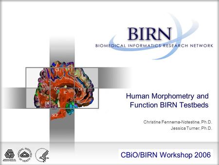 All Hands Meeting 2005 Human Morphometry and Function BIRN Testbeds Christine Fennema-Notestine, Ph.D. Jessica Turner, Ph.D. CBiO/BIRN Workshop 2006.