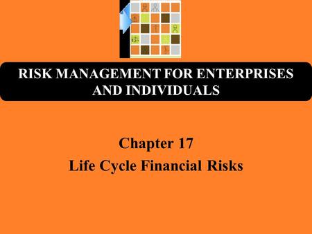 Chapter 17 Life Cycle Financial Risks