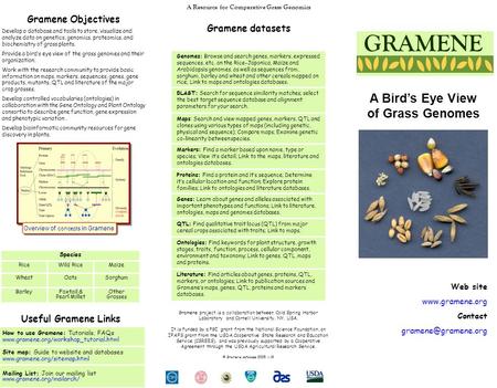 Gramene Objectives Develop a database and tools to store, visualize and analyze data on genetics, genomics, proteomics, and biochemistry of grass plants.