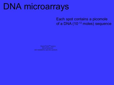 DNA microarrays Each spot contains a picomole of a DNA (10 -12 moles) sequence.