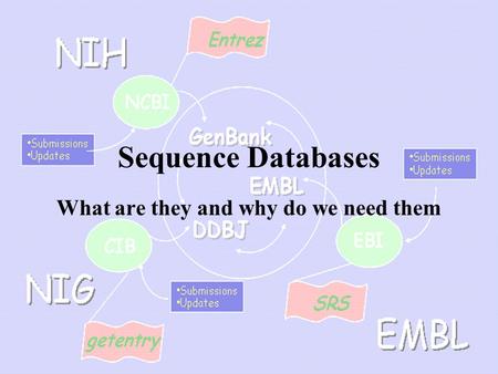 Sequence Databases What are they and why do we need them.