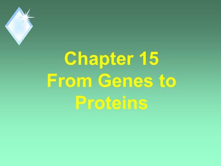 Chapter 15 From Genes to Proteins. Question? u How does DNA control a cell? u By controlling Protein Synthesis. u Proteins are the link between genotype.