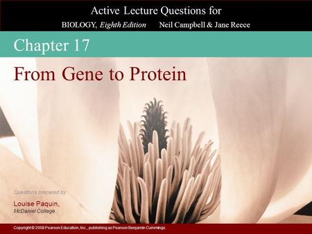 From Gene to Protein Chapter 17