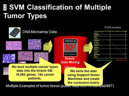 Multiple Examples of tumor tissue (public data from Whitehead/MIT) SVM Classification of Multiple Tumor Types DNA Microarray Data Oracle Data Mining 78.25%