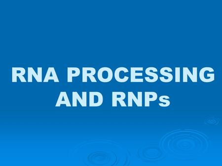 RNA PROCESSING AND RNPs. RNA Processing  Very few RNA molecules are transcribed directly into the final mature RNA.  Most newly transcribed RNA molecules.