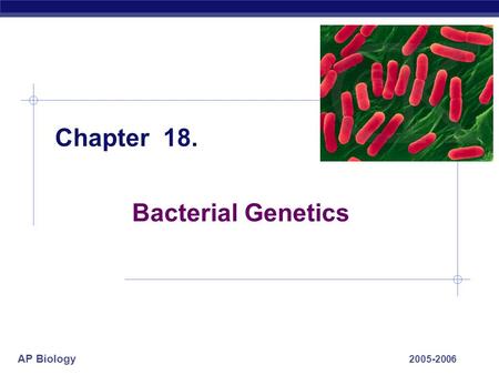 AP Biology 2005-2006 Chapter 18. Bacterial Genetics.