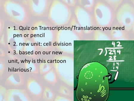 1. Quiz on Transcription/Translation: you need pen or pencil 2. new unit: cell division 3. based on our new unit, why is this cartoon hilarious?