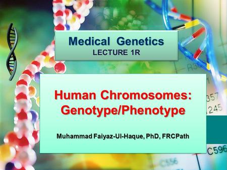 Human Chromosomes: Genotype/Phenotype Muhammad Faiyaz-Ul-Haque, PhD, FRCPath Human Chromosomes: Genotype/Phenotype Muhammad Faiyaz-Ul-Haque, PhD, FRCPath.
