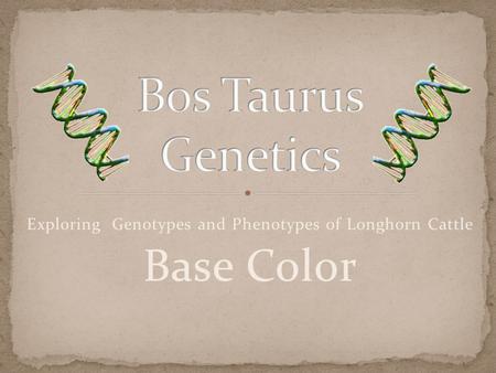 Exploring Genotypes and Phenotypes of Longhorn Cattle Base Color.