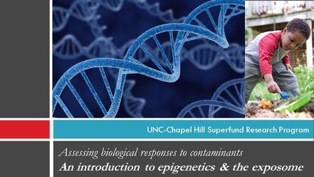 UNC-Chapel Hill Superfund Research Program Assessing biological responses to contaminants An introduction to epigenetics & the exposome.