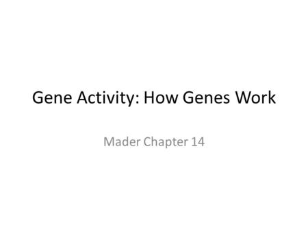 Gene Activity: How Genes Work