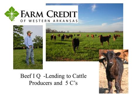 Beef I Q -Lending to Cattle Producers and 5 C’s. Supporting cattle producers in Arkansas since 1916! Maximizing our customers’ financial success. Tom.