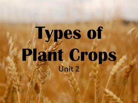 Types of Plant Crops Unit 2. Food Groups Examine the items in front of you. Work with the other members of the class to put the items into six groups.