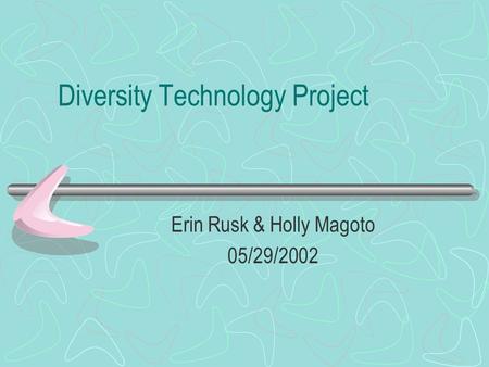 Diversity Technology Project Erin Rusk & Holly Magoto 05/29/2002.