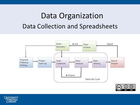Data Organization Data Collection and Spreadsheets.
