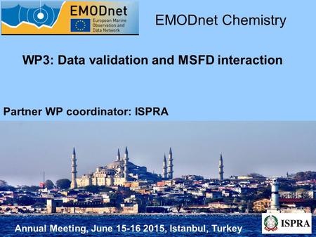 Annual Meeting, June 15-16 2015, Istanbul, Turkey WP3: Data validation and MSFD interaction EMODnet Chemistry Partner WP coordinator: ISPRA.