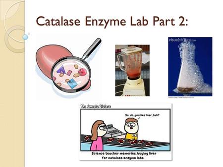 Catalase Enzyme Lab Part 2:. First Page: Title—Be thorough and specific Research Question: IV: DV: Control: Constants: Null Hypothesis: Alternative Hypotheses: