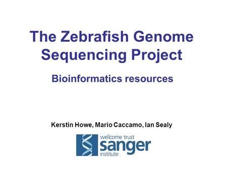 Kerstin Howe, Mario Caccamo, Ian Sealy The Zebrafish Genome Sequencing Project Bioinformatics resources.