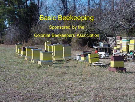 Basic Beekeeping Sponsored by the Colonial Beekeepers Association.