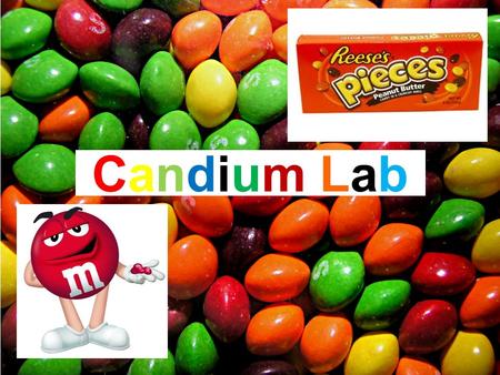 Candium Lab.