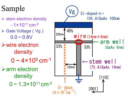  stem electron density ～ 1×10 11 cm -2  Gate Voltage （ Vg ） 0.0 ～ 0.8V  wire electron density 0 ～ 4×10 5 cm -1  arm electron density 0 ～ 1.3×10 11.