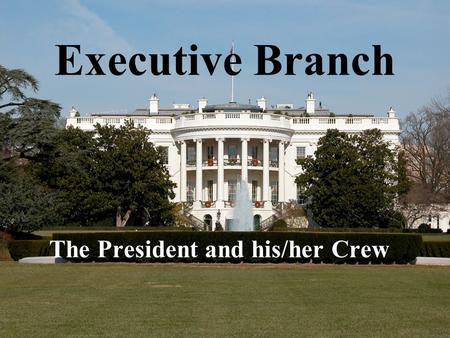 Executive Branch The President and his/her Crew. The President (remember to capitalize, even though the media don’t seem to) is the head of the executive.