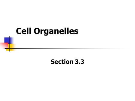 Cell Organelles Section 3.3. The Nucleus The nucleus is an internal compartment that houses the cell’s DNA. Most functions of a eukaryotic cell are controlled.