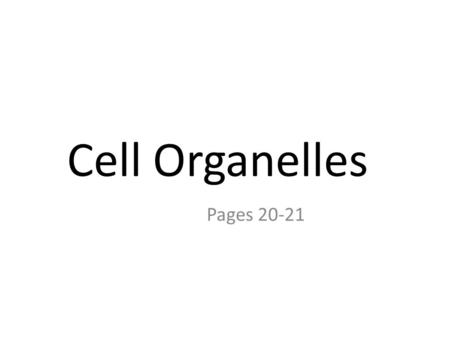 Cell Organelles Pages 20-21. Organelles  Structures inside of cells that perform different cell activities!  Also known as “little or tiny” organs.