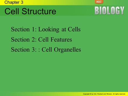 Cell Structure Section 1: Looking at Cells Section 2: Cell Features