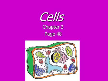 Cells Chapter 2 Page 48. Cell theory: Robert Hooke first looked at and described cells in 1665. The word “cell” means “little room” in Latin. Cell theory: