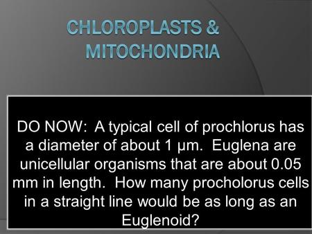 DO NOW: A typical cell of prochlorus has a diameter of about 1 µm. Euglena are unicellular organisms that are about 0.05 mm in length. How many procholorus.