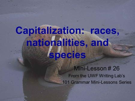 Capitalization: races, nationalities, and species Mini-Lesson # 26 From the UWF Writing Lab’s 101 Grammar Mini-Lessons Series.
